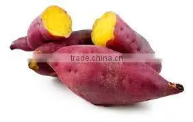 Frozen Sweet Purple Potato From Vietnam/ Purple Yam photo-3