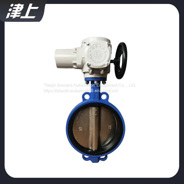 Wafer Type Electric Butterfly Valve DN20 General Electric Actuator photo-4