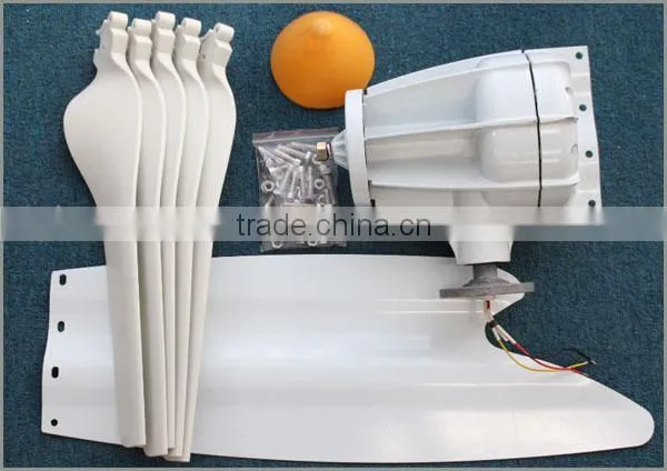 Butterfly Tail Design 200W 12V Mini Wind Turbine photo-5