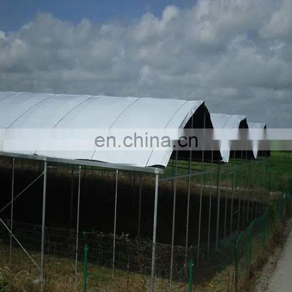 Transparent PE Tarpaulin UV Treatment Woven Fabric Film for Cherry Tree Protection Cover