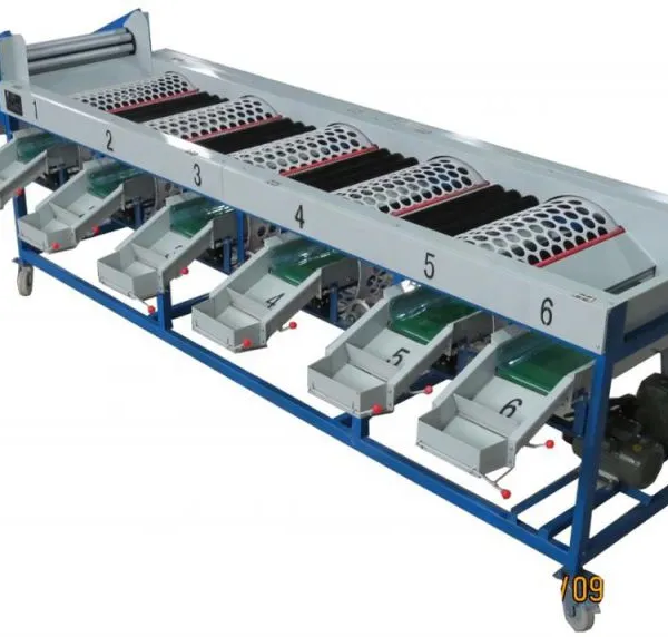 Orang Sorter Machine/ Mandarin Orange Sorting Machine/ Apple Grading Machine photo-4