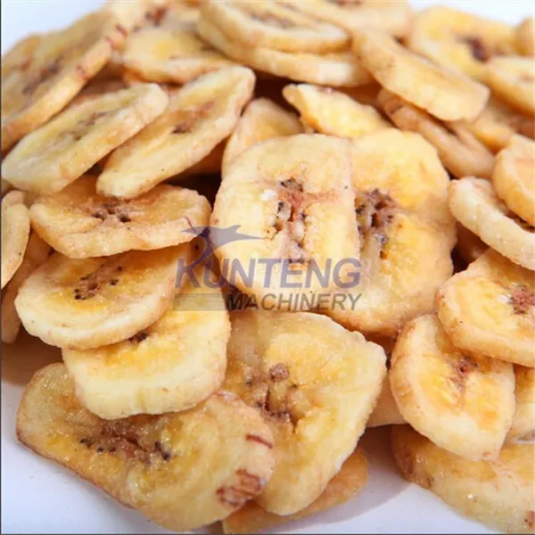 High Efficient Dryer Machine Grape Banana Mango Dried Papaya Dehydrator Machine to Dry Fruits Pulps Oven EPC photo-4