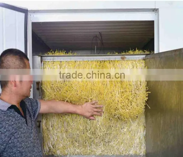 New Brand Bean Sprout Machine Soya Bean Mung Bean Black Bean photo-4