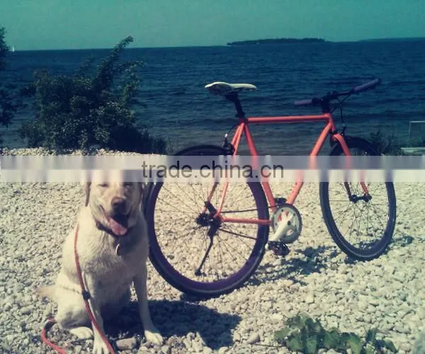 OEM Offered Hot Selling New Design Chinese Road Bike Wheels photo-2
