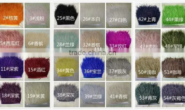 Factory Wholesale 15-20cm Thicken Ostrich Feather Trim Moq 5m/color photo-6