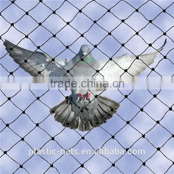 Plastic Bird Netting,plastic Bird Nets,hdpe Birds Mesh photo-4