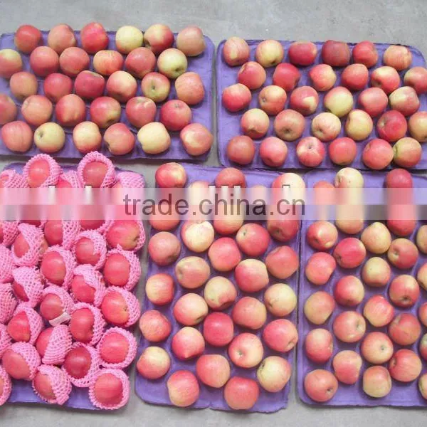 Red Fuji Apple