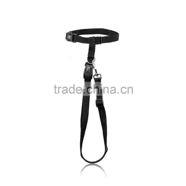 Wholesale Pet Dog Leash Retractable Lead photo-2