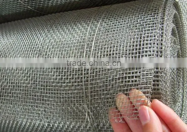 Galvanized Iron Wire Material Galvanized Square Wire Mesh photo-5