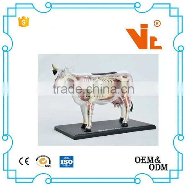 V-AM048 4D MASTER Cow Specimen Anatomical Model photo-3