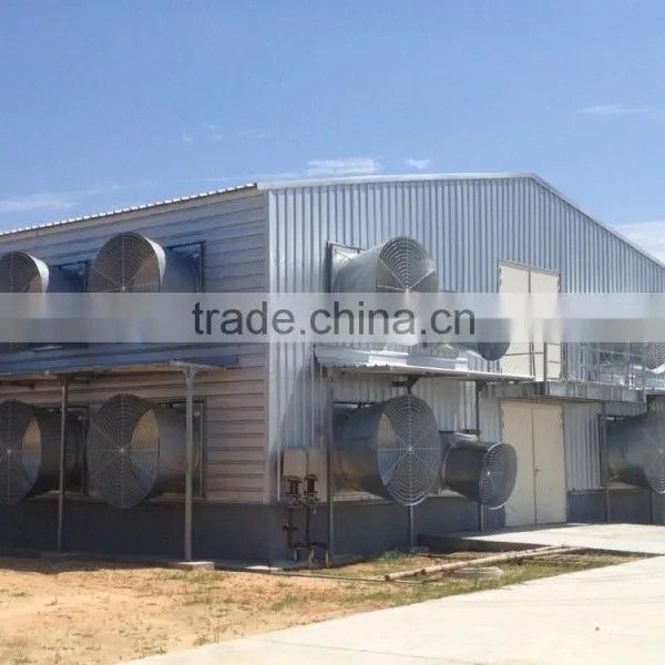 Low Cost Professional Steel Structure Poultry House photo-2