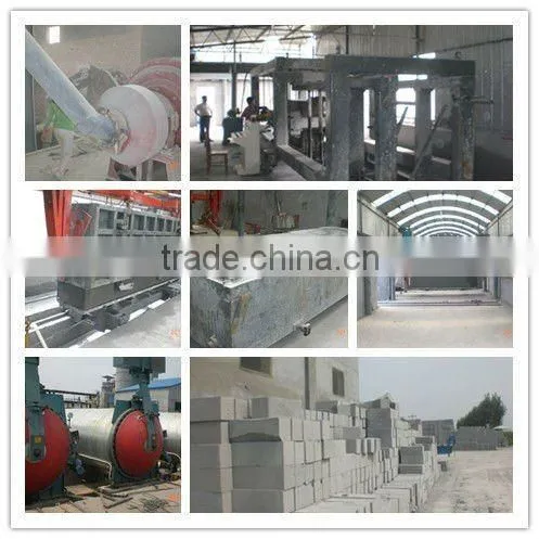 TOP Quality Shandong Linyi Low Cost Aac Block Making Plant for Sales - TIANYUAN BRAND photo-4