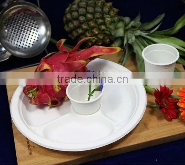 Biodegradable Tapioca Tableware, Disposable Plastic Plate/dish photo-3