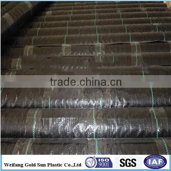 Polypropylene Woven Ground Cover Fabric With Green Planting Lines