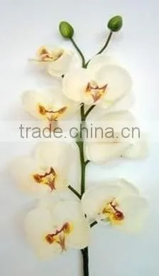 Fabric Orchid Silk Orchid Wholesale Artificial Flowers