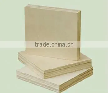 Hot Sale Birch Plywood From Linyi photo-2