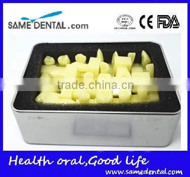 1.2 Times the Tooth Model Dental Eduction Assitant No. DEA-13 photo-3