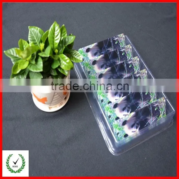 Vacuum Plastic Packing Tray photo-2