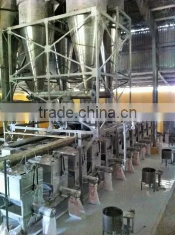 Native Cassava Starch photo-5