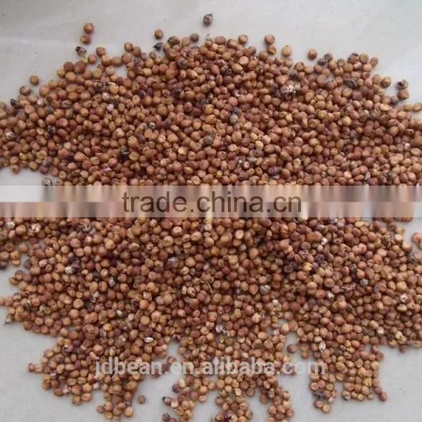 Price Of Red Sorghum photo-3