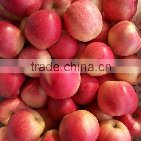 Fresh Apples photo-3