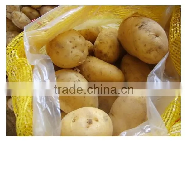 Potato Prices From Chinese Fresh Potato Supplier Export to Mideast