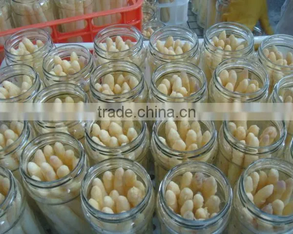 Fresh Canned White Asparagus in Jar With Price photo-3