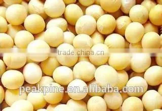 Soy Protein Powder photo-2