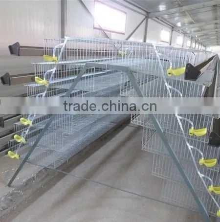 Layer Assemble Quail Cage With Assembling Tools For Sale photo-4