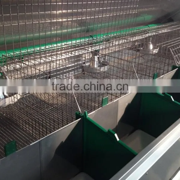Rabbit Cage photo-3