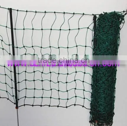 Hongrunzhongda Electric Poultry Netting photo-3