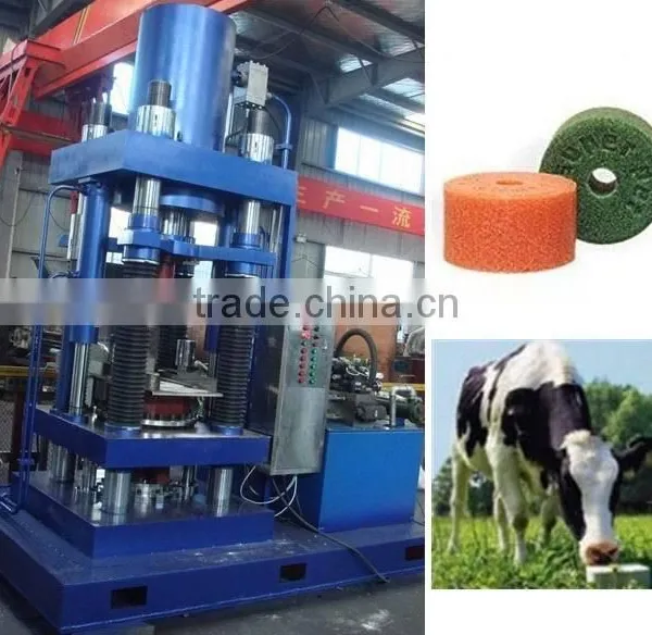 Stainless Steel Hydarulic Salt Tablet Press Machine photo-4