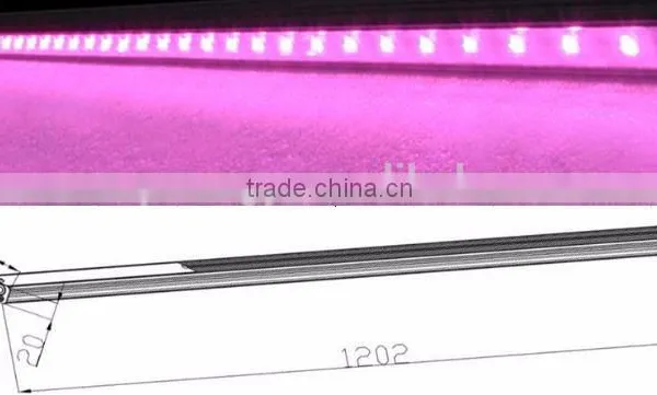 Led Grow Light 30W Waterproof Led Grow Light Bar,light Bar Tube Led photo-4