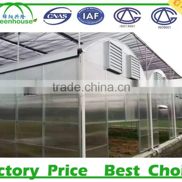 China Agricultural Greenhouse photo-4