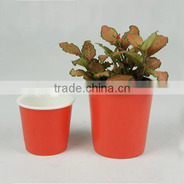 Indoor Small Colorful Ceramic Teacup Planter Pot for Succulent Plants photo-2