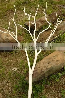 Mafai Tree Branch photo-2