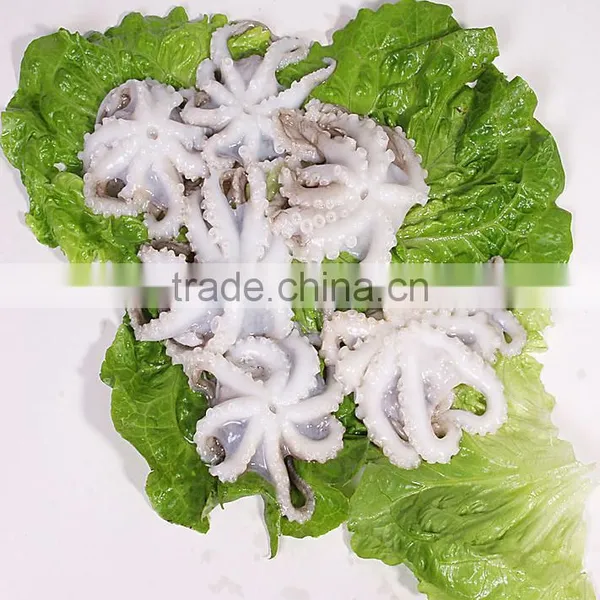 Octopus Variety Baby Octopus photo-3