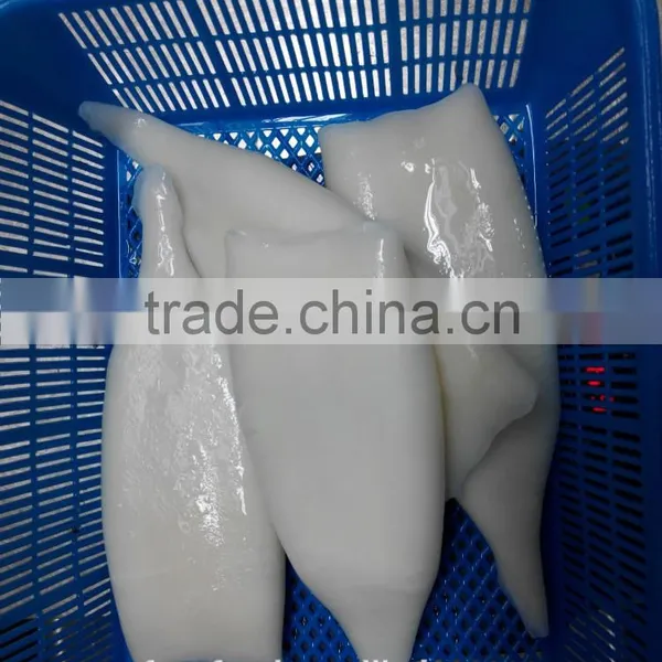 Good Quanlity and Best Price Frozen Squid Tube photo-4