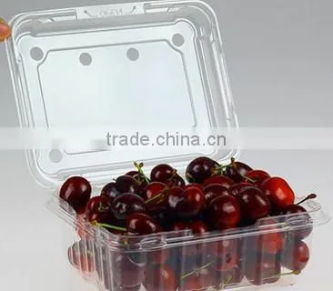 Disposable Packaging ;Vegetable Box ;Fruit Dish photo-2