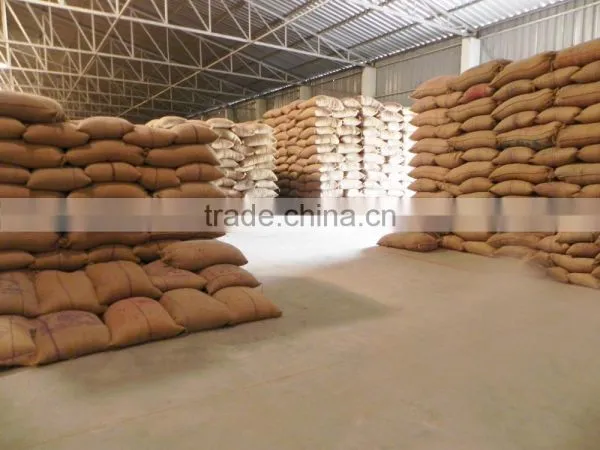 Non GMO Soyabean photo-3