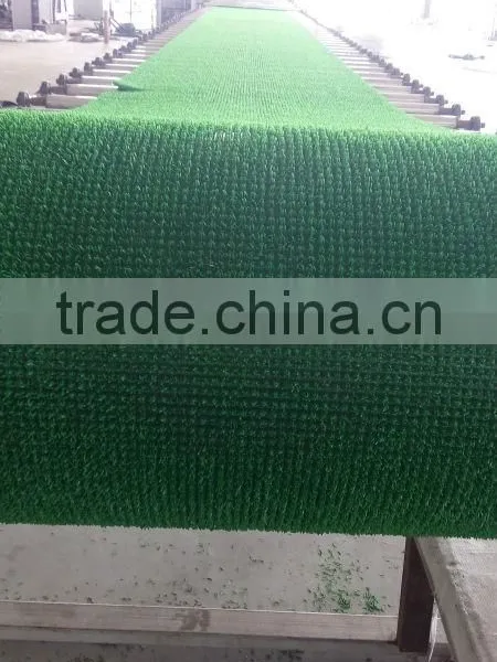 Environmental Protection Gold- Rush Grass photo-4