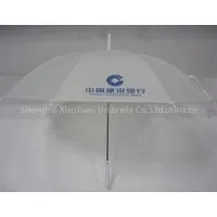 Transparent Umbrella - 03