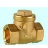 Check Valve 1