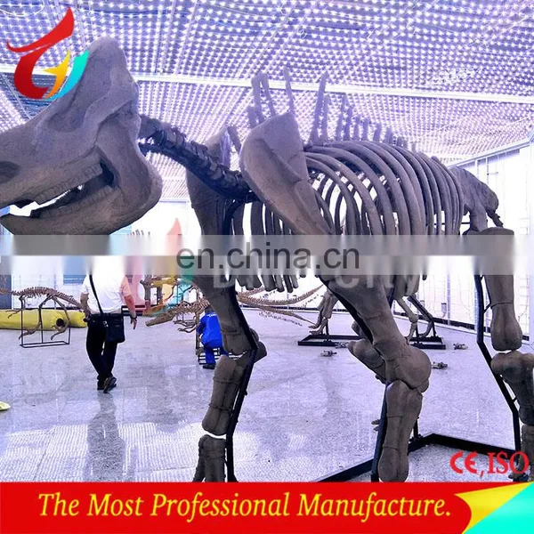3m Length Life Size Fibrglass Realistic T-rex Dinosaur Fossils photo-2