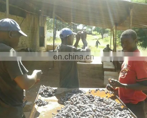 Amethyst photo-5