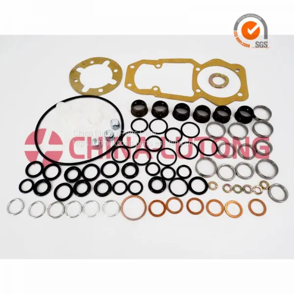 Bosch ve Injection Pump Rebuild Kit 1 417 010 008 for Ve Pump Parts Replace