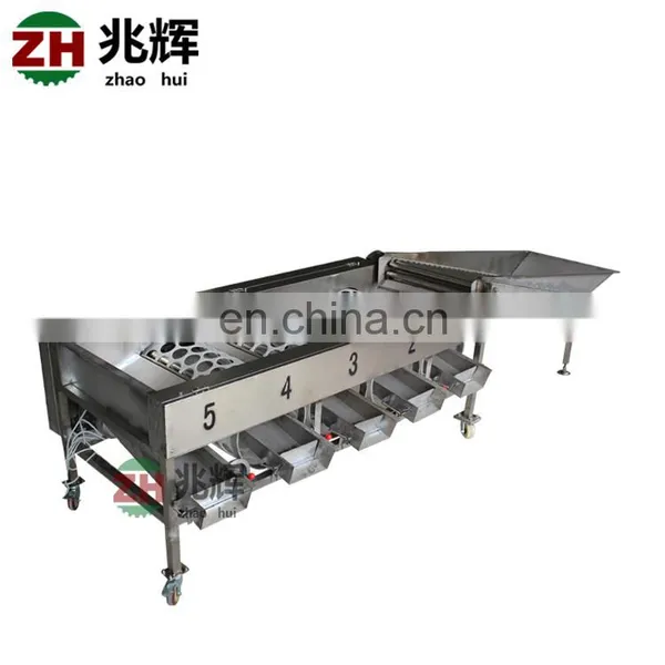 Commercial Apple Fruit Grader Apple Sorting Machine photo-6