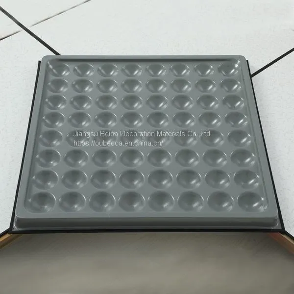 High Load-bearing All-steel Anti-static Raised Floor for PVC Machine Room, Office, Office Building and Laboratory600 photo-4