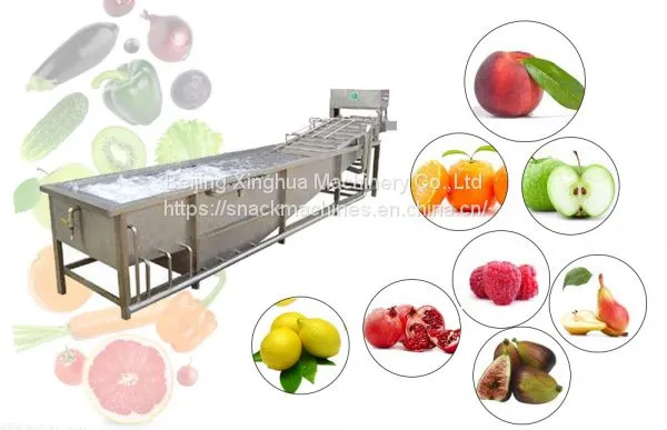 Fruit And Vegetable Washing Machine Operation Manufacturing Process photo-5
