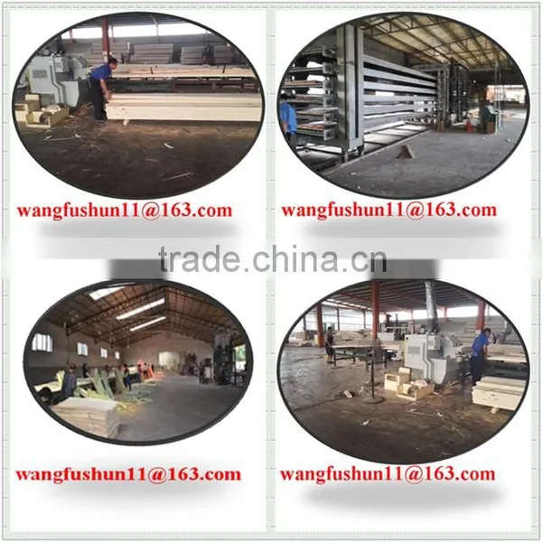 Full Poplar Lvl Plywood for Packing and Best Slat Poplar Lvl for North Korea photo-5